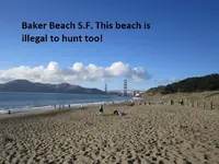 Median Strip finds 6-23-12 021.webp