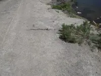 DSCN4495.webp