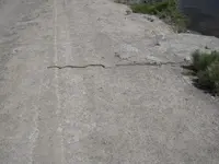 DSCN4497.webp