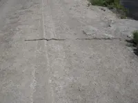 DSCN4498.webp