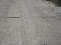 DSCN4499.webp