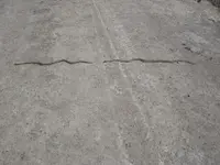 DSCN4500.webp