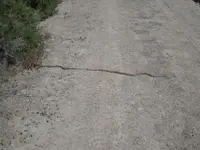DSCN4504.webp