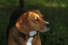 20120710_57.webp