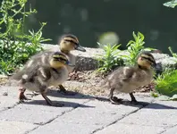 20120712_18.webp