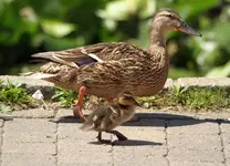 20120712_21.webp