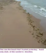 DSCF1482.webp
