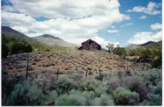 Deer Lodge5.webp