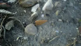 2012-07-10_21-14-21_25 (1280x722).webp