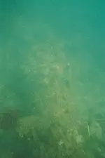 11_XA.webp