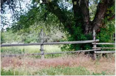 Deer Lodge156.webp
