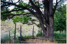 Deer Lodge212.webp
