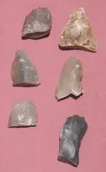 DSCN2247.webp