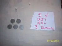 V5.webp