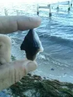 PART_1339467364451.webp