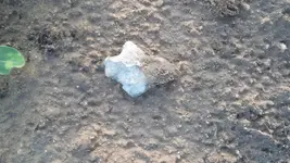 ForumRunner_20120531_074949.webp
