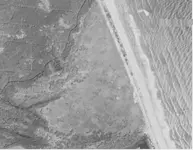 1943 Blind Creek 1 1943.webp