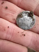 Park Finds 7-14-12 002.webp