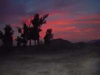 DSCN4560.webp