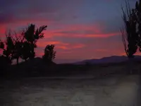 DSCN4561.webp