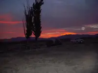 DSCN4562.webp
