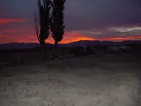 DSCN4565.webp