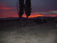 DSCN4566.webp