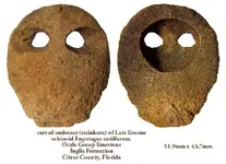 echinoidartifact.webp