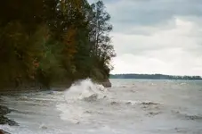 49210006.webp