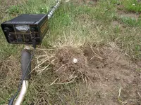 Park Finds 7-14-12 016.webp
