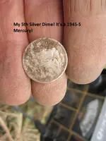 Park Finds 7-14-12 017.webp