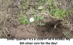 Park Finds 7-14-12 019.webp