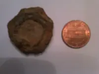 Smithfield-20120523-00060.webp