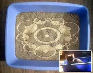 cat_circles.webp