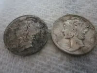 Park Finds 7-14-12 030.webp