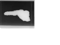 Artifact X rayed 5-31-12.webp
