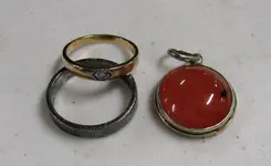 Park Finds.webp
