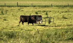 20120624_18.webp