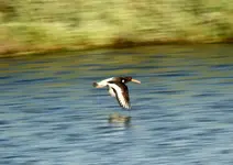 20120624_32.webp