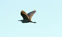 20120624_82.webp