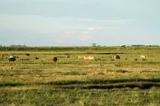 20120624_115.webp