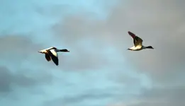 20120624_140.webp