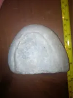 image-4202739030.webp