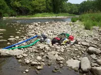 Gravel Bar full of Gold.webp