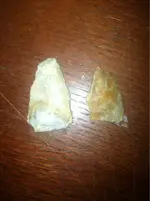 image-2150080732.webp