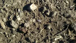 2012-08-05_09-13-42_442 (1280x722).webp
