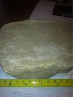 image-1192704056.webp