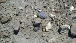 2012-08-05_15-01-15_866 (1280x722).webp