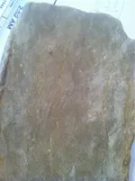 image-2704343990.webp