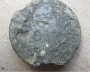 button_front.webp